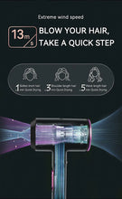 Load image into Gallery viewer, Earth Beauty Electricals Professional Pro Hair Dryer